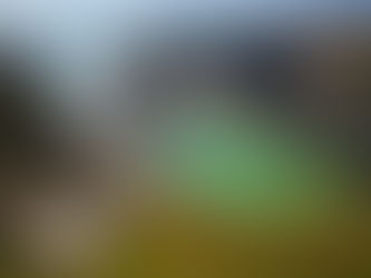 Rota Vicentina Hiking and Cultural Tour