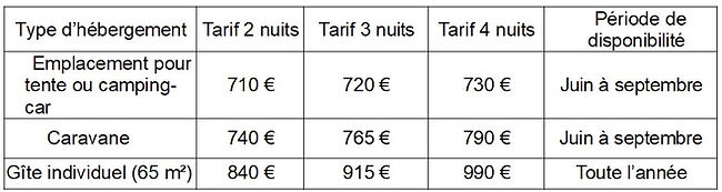 Tarification_formation_initiation_bijouterie_artisanal_luna_lupa_bijoux_gers_sud_ouest_france_prix_école_de_le_fibule