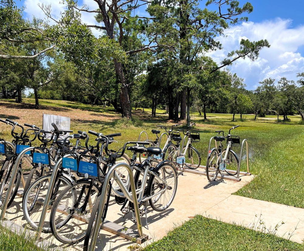 Exploring the Coastal Wetlands on the Hike/Bike Trails of Gulf State