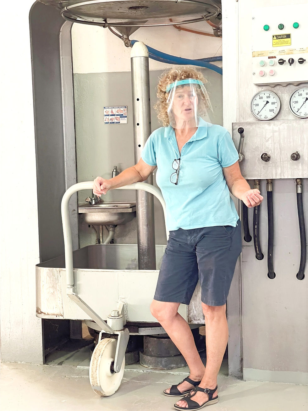 Our Guide for the Olive Oil Facility Tour