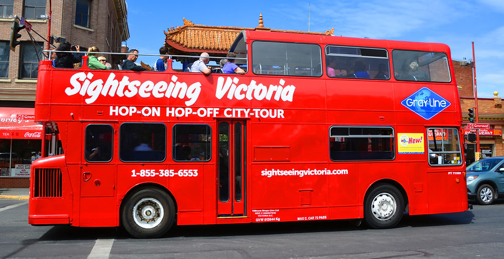 Sightseeing, Tour, Shore Excursion, Day Trip