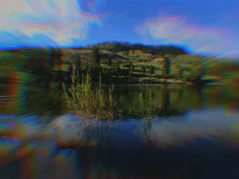 giphy (1)