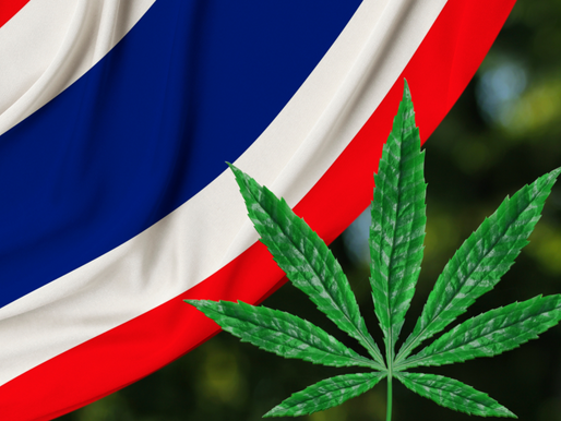 ¿ProhÃbiran la Marihuana de nuevo en Tailandia?