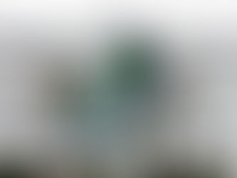 Estados Unidos legalizara la marihuana en todo el pais...