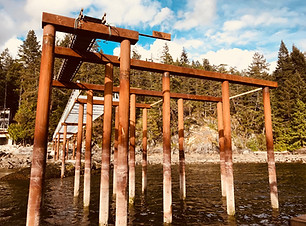 pilings.jpg