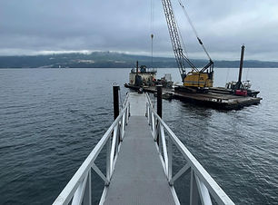 28 crane .jpeg