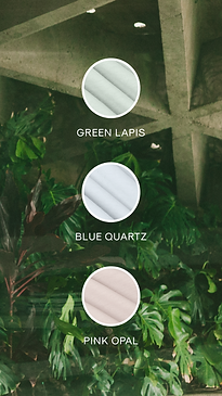 Spring Shirting-2.png