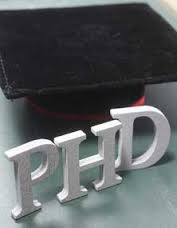 PhD Political Economy/Science
