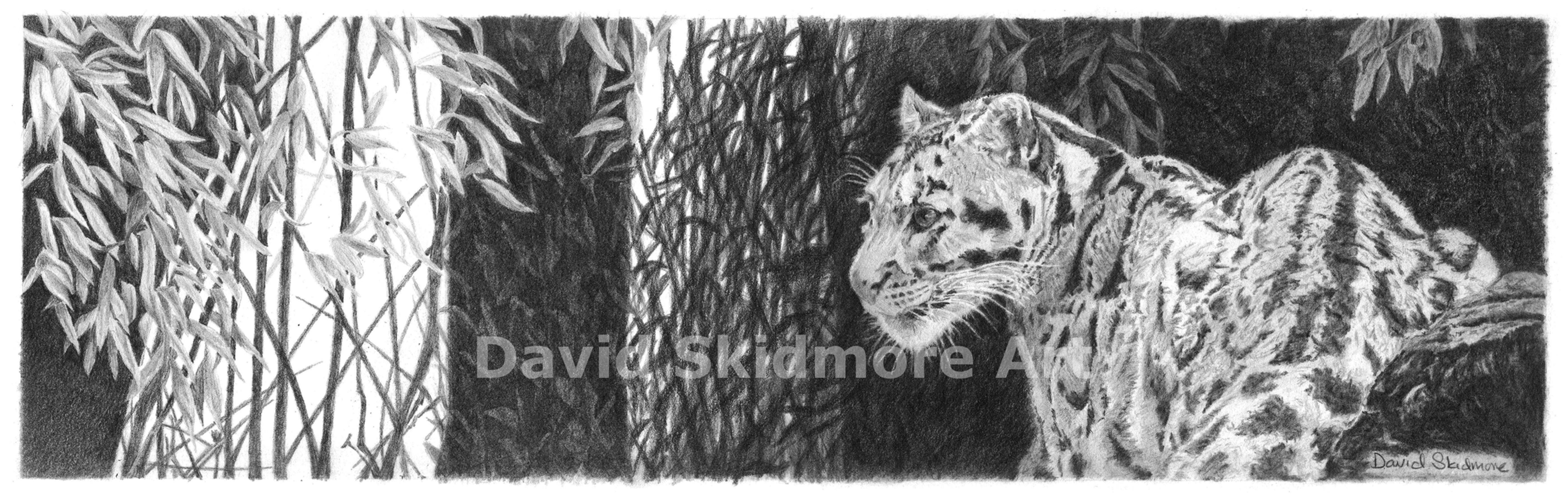 Shadowy Past, Uncertain Future, Giclee Print.