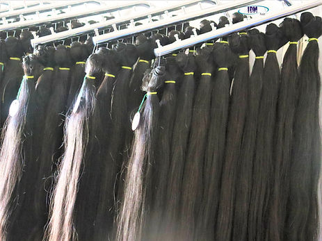 Indian raw human hair factory as an Indian temple raw hair vendors provides Indian raw unprocessed Indian temple hair wholesale