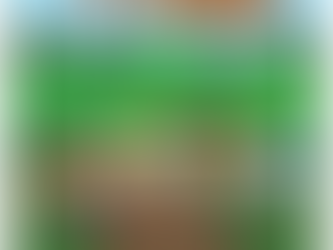 Want More Information?