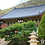 Thumbnail: Mt. Geumjeongsan hiking, Beomeosa temple + Korean Sauna experience tour