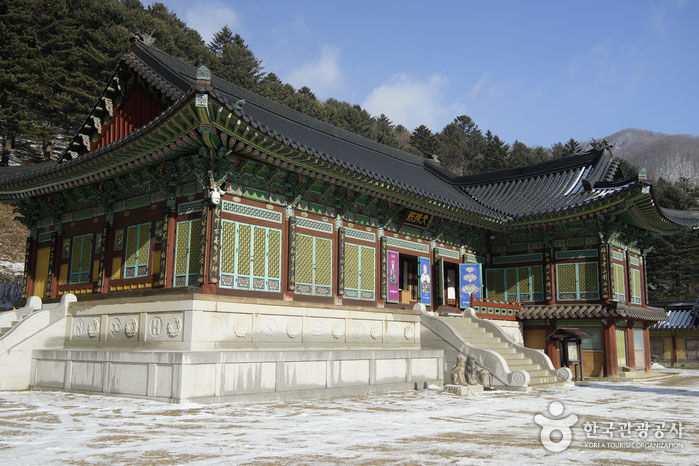 Thumbnail: Odaesan National Park hiking day tour: Explore Autumn foliage Korea