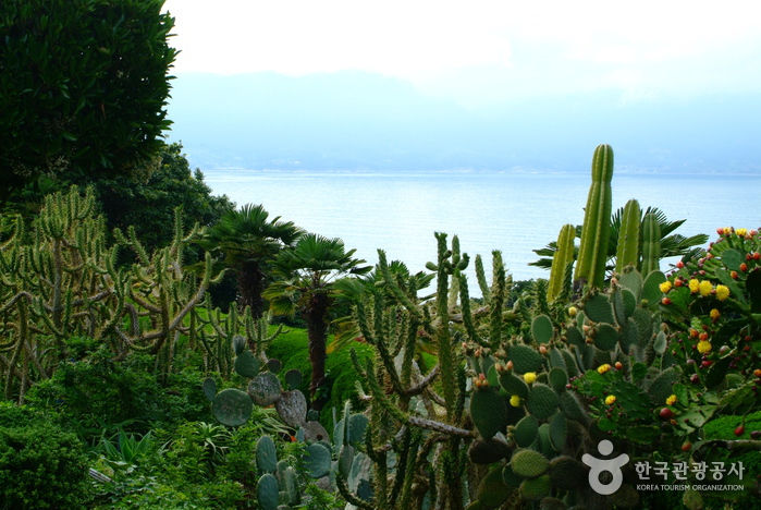 Thumbnail: The Hidden Seaside Paradise of Geoje from Busan: Windy Hill and Oedo Island