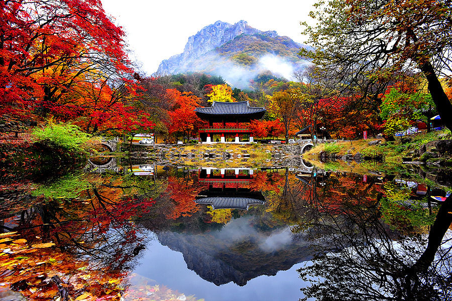 Thumbnail: Autumn 3 days Jeonju+Mt. Naejansan+Seoul on 4-12 Nov
