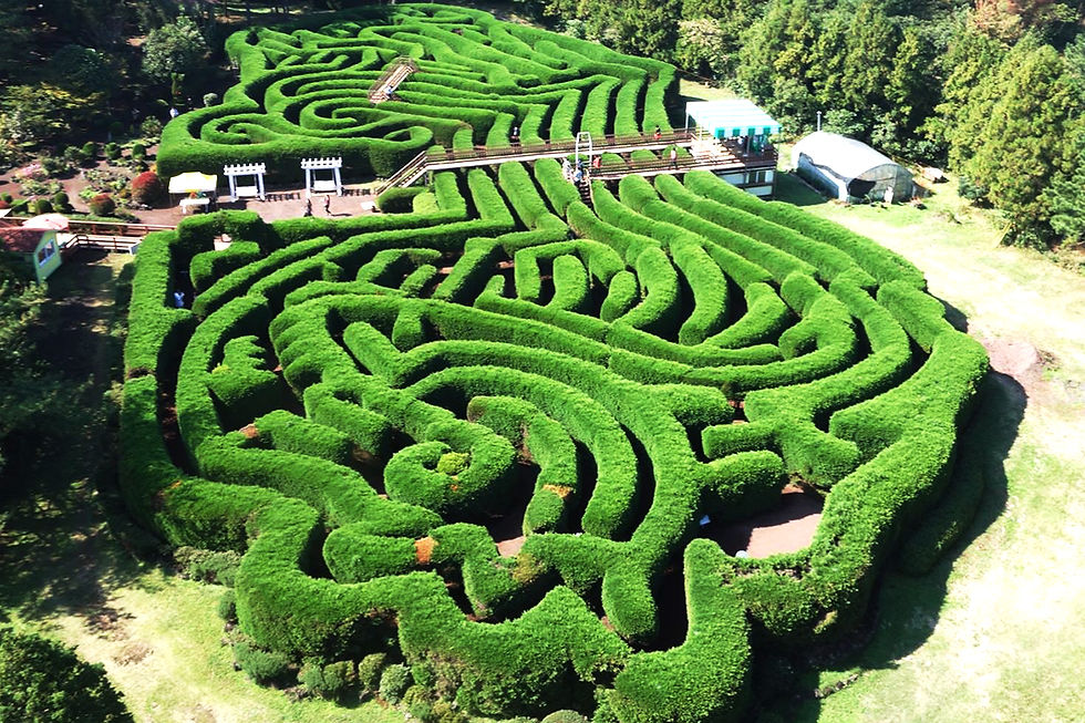 Thumbnail: Full-day Jeju Customizable Private tour with Guide & Vehicle