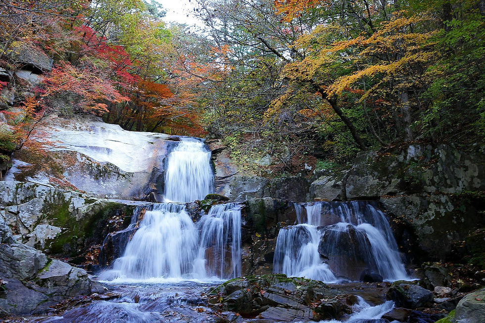 Thumbnail: Nami Island + Mt. Seorak National Park tour