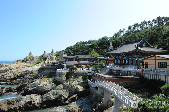 Thumbnail: 3 days Private tour Busan & Gyeongju & Ulsan with foodie
