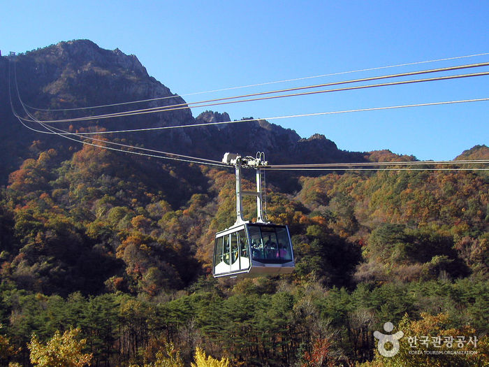Thumbnail: Autumn 8 days Jeonju+Damyang+Mt.Naejangsan+Mt.Seorak+Nami+Rail Bike on Early Nov