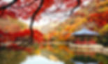 Autumn 8 days Jeonju+Damyang+Mt.Naejangsan+Mt.Seorak+Nami+Rail Bike on Early Nov