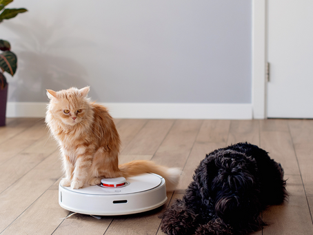 Eco-Friendly Cleaning Solutions for Pet Owners