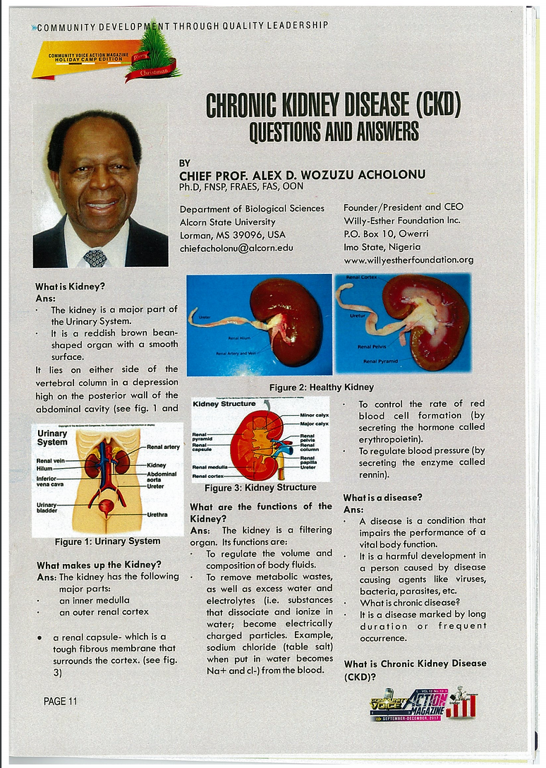 Screen Shot 2019-08-01 at 11.32.01 AM.pn