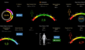 Imagem ilustrativa de gráfico de bioimpedância corporal utilizado para avaliação da composição corporal.