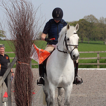 Shanbo Hazel Nut - aka Mocha - Cropped_edited.jpg