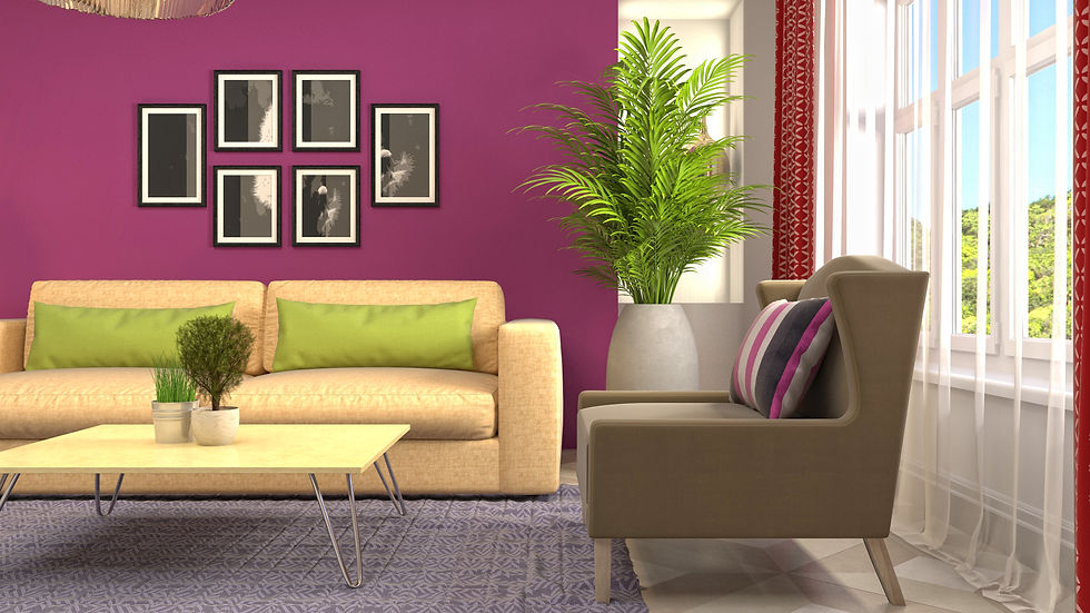 magenta wall in the living room