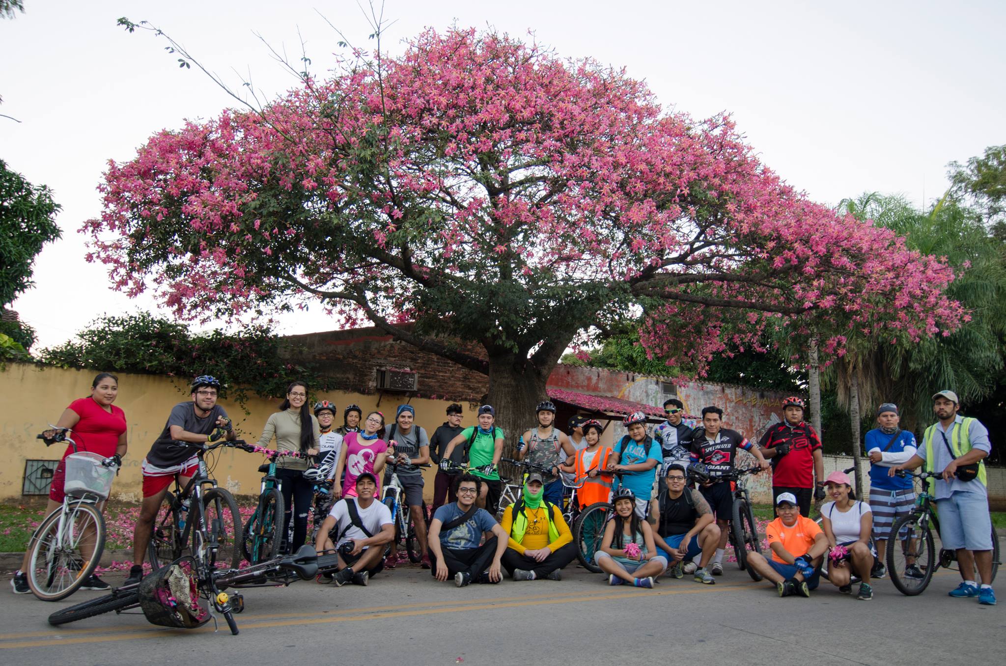 Bici paseo 2016