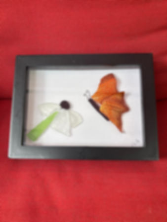 Butterfly 5 x 7” limited edition custom order