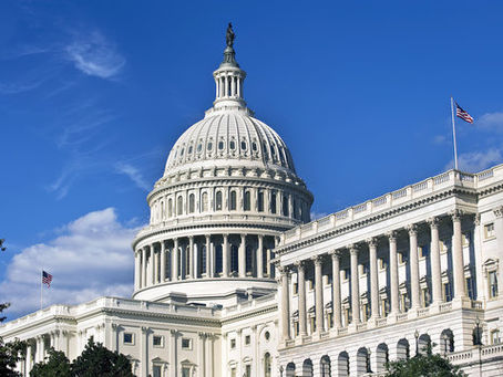 Immigration Federalism: The Constitutional Battle Over Who Controls Immigration Enforcement