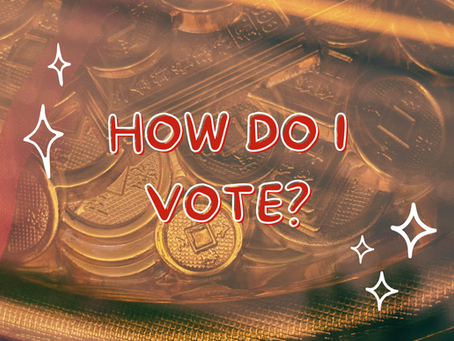 How Do I Vote?