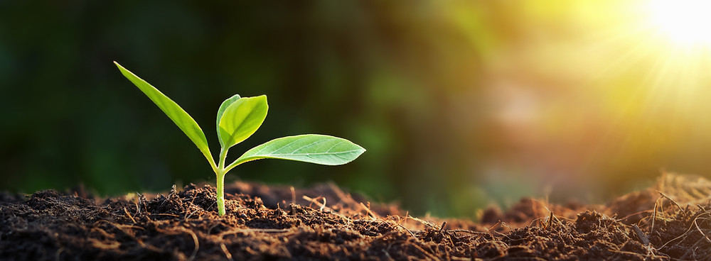 Earth Day 2021