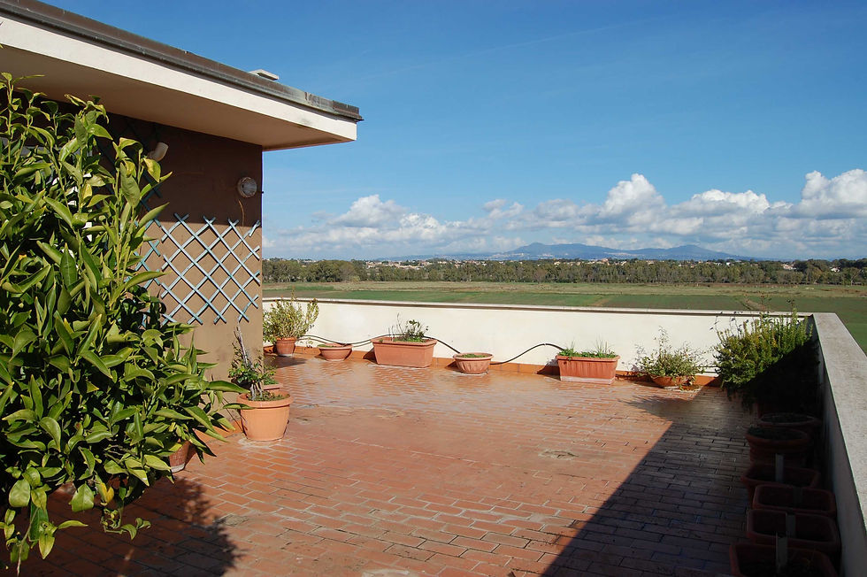 terrazzo