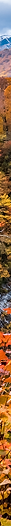 アセット 2_3x.png