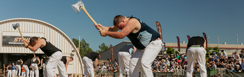 NZAG_2019_DM0845 (2)_edited.jpg