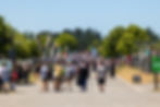 canterbury a&p show 2025