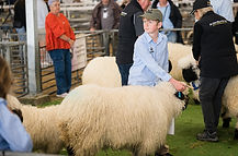 christchurch show day