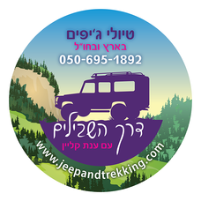 AdvA_Anat_GALGAL_P-01.png