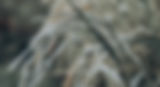 Screenshot 2024-05-26 at 10.03 1.jpg
