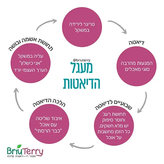 דיאגרמה שממיחשה את מעגל הדיאטות