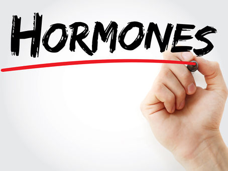 למה ב2024 עדיין רוב הדיאטות נכשלות? - חלק ד - רעב ושובע