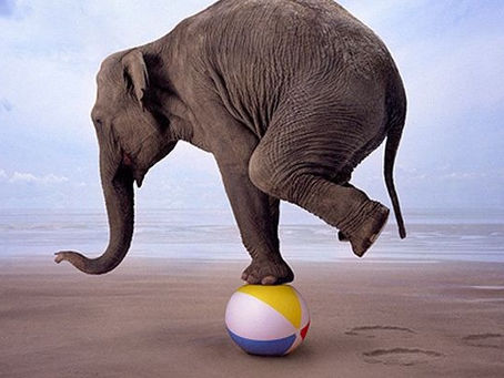 מזל מאזניים קשור לאיזון? 26/100