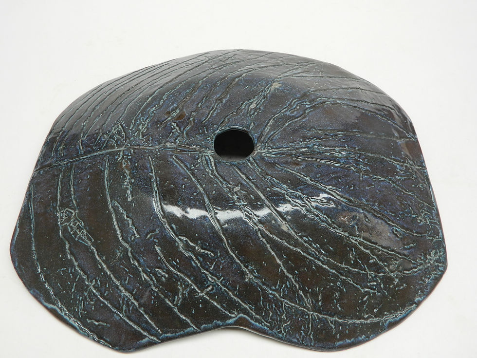 Terracota Azul