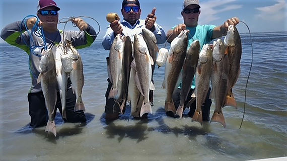Redfish sight casted in the Laguna Madre