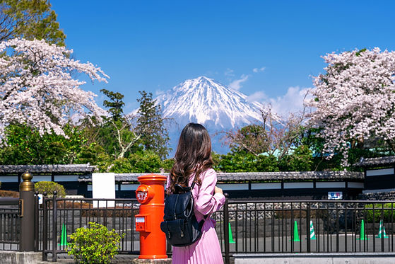 tourist-looking-fuji-mountain-cherry-blossom-spring-fujinomiya-japan (1).jpg