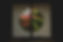 Image-empty-state.png