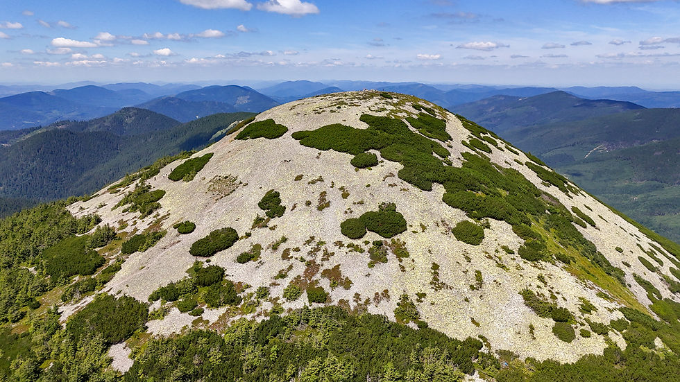 DJI_20240727133411_0109_D.jpg
