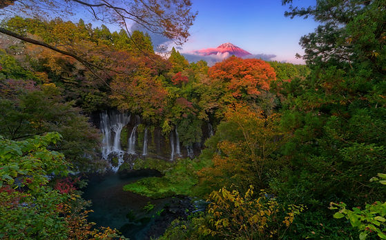 takashi-miyazaki-2zSIu0BApdo-unsplash.jpg